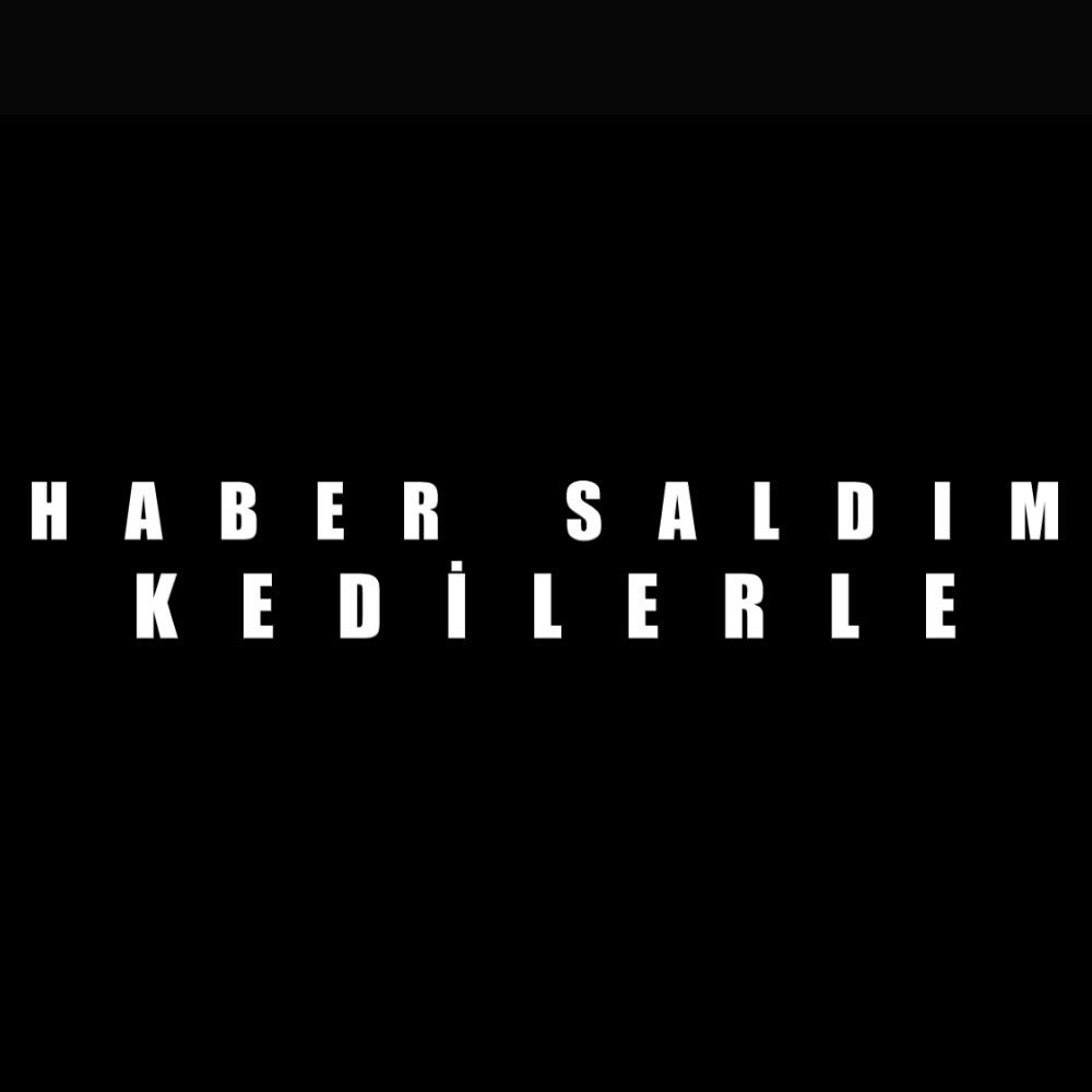 Haber Saldım Kedilere-Haber SaldımKedilere