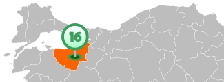 Bursa